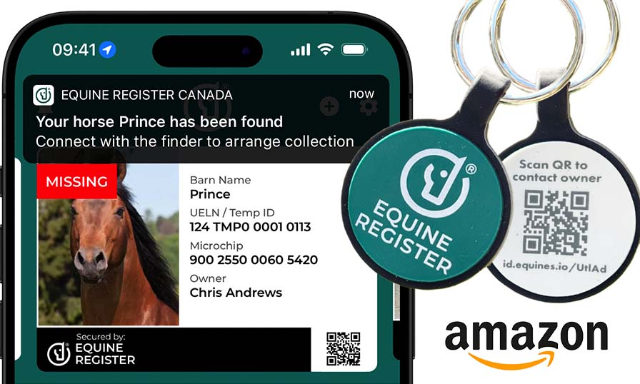 Buy Now from Amazon